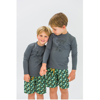 Boys Boardshorts PALM TREES (SIZES 3,4,5,6 ONLY)
    		