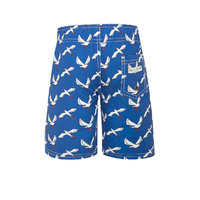 Boys Boardshorts SEAGULLS  (SIZES 1,2,4,7,14)
    		