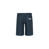 Boys Boardshorts BLUE FISH (SIZES 3,5)
    		
