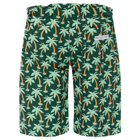 Boys Boardshorts PALM TREES (SIZES 3,4,5,6 ONLY)
    		