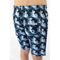 Boys Boardshorts SUMMER FUN (SIZES 3,5,7) 